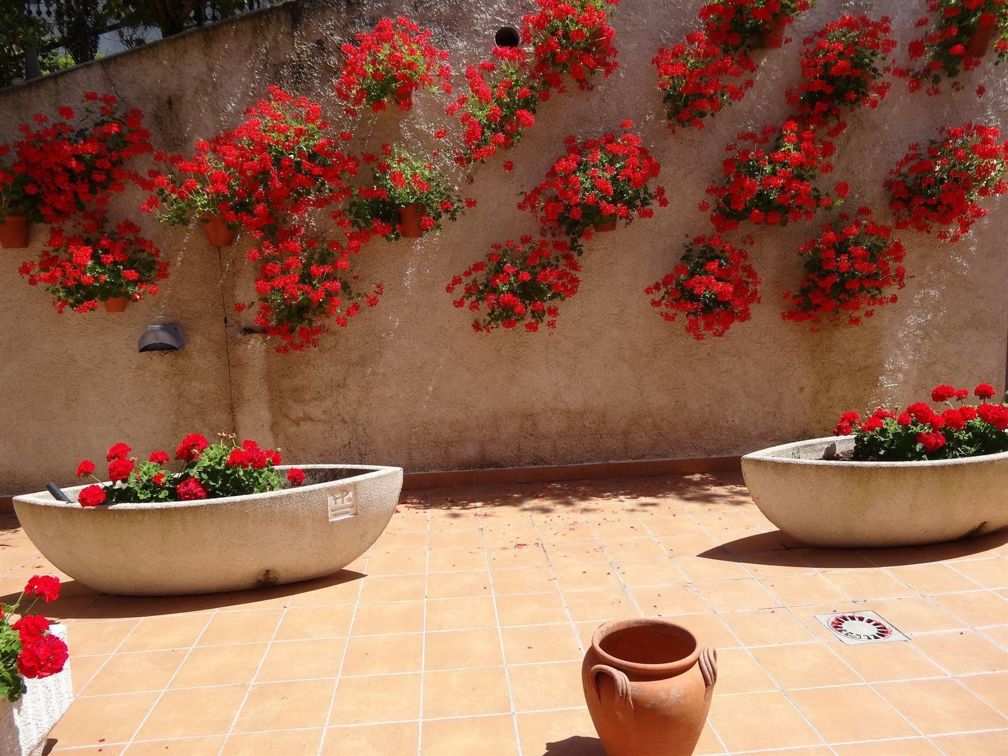 Hotel El Pescador ペリリョ エクステリア 写真